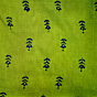 Eri Silk Printed Scarf | Green | 1.1 meter