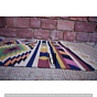 Handmade 100% Multi Color Cotton Rug (90x150 cm)