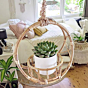 Rattan Cane Plant Pot Holder | Natural Finish | Pack Of 1