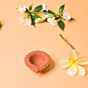 Natural Mitti Diyas for Diwali | Pack of 11