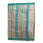 Tussar Karvati Kinar Saree with teal border