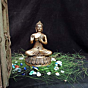 Brass Lord Buddha Spiritual Idol KBH00082