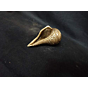 Brass Shankh KBH00274
