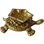 Brass Divi Tortoise KBH00363