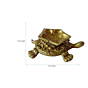 Brass Divi Tortoise KBH00363