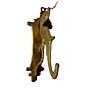 Brass Wall Hanging Stand KBH00403