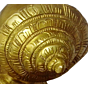 Brass Shankh On Tortoise Statue KBH00485