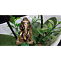 Brass Bal Ganesha with Mouse on Hand Idol KBH00828