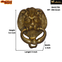 Brass Lion Face Door Knock Mid KBH01755