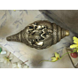 Brass Radha Krishna Shankh Mid Idol KBH02657