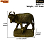 Brass Cow with Vachedu Mid Idol KBH02710