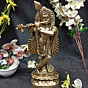 Brass Krishna Idol KBH03882