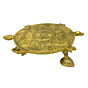 Brass Tortoise Bajath KBH04080
