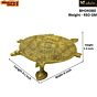 Brass Tortoise Bajath KBH04080