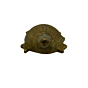 Brass Tortoise Figurine KBH04290