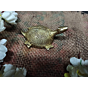 Brass Tortoise Figurine KBH04290