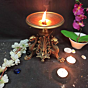 Brass Dragon Candle Stand KBH04312