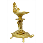 Brass Tortoise New Divi KBH04559