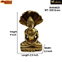 Brass Parshu Nath Collectible Statue KBH04622