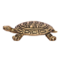 Brass Tortoise Statue KBH05120