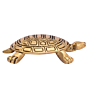 Brass Tortoise Figurine KBH05350
