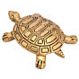 Brass Tortoise Figurine KBH05350