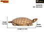 Brass Tortoise Statue  KBH05479