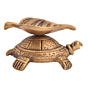 Brass Tortoise Divi KBH05481