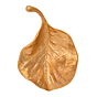 Brass Medium Leaf KBH05823