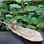 Brass Flower Leaf Decorative Showpiece KBH06517