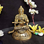 Brass Annapurna Idol KBH06588