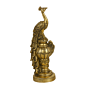 Brass Peacock Showpiece KBH06598