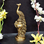 Brass Peacock Showpiece KBH06598