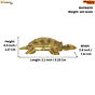 Brass Tortoise Showpiece KBH06600