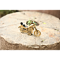 Brass Bullet Bike Model KBH06615