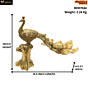Brass Super Fine Finish Peacock Statue KBH07044