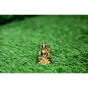 Brass Lakshmi Ji Statue KBH07145