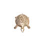 Brass Tortoise Ganesh Statue KBH07289