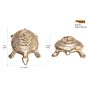 Brass Tortoise Ganesh Statue KBH07289