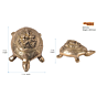 Brass Tortoise Ganesh KBH07292