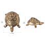 Brass Tortoise Ganesh KBH07292