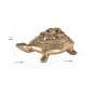 Brass Tortoise Ganesh KBH07292