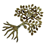 Brass Wall Hanging Small Tree KBH07327
