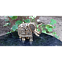Brass Elephant with Upward Trunk KBH07382