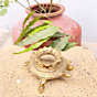Brass Shankh Stand with Tortoise KBH07400