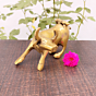 Brass Bull Figurine KBH07426
