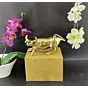 Brass Bull Figurine KBH07426