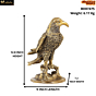 Brass Eagle Statue KBH07475