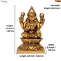 Brass Lakshmi Idol KBH08281