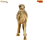 Brass camel Statue KBH08353